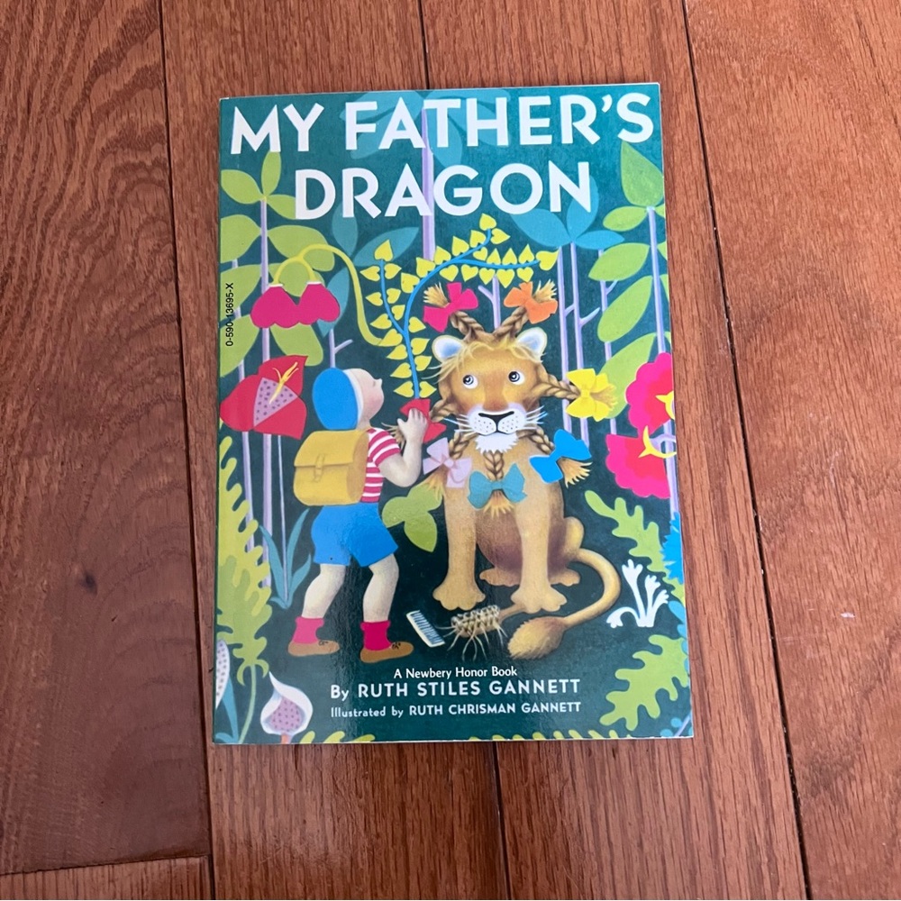 My Father's Dragon by RUTH STILES GANNETT - Kids Book